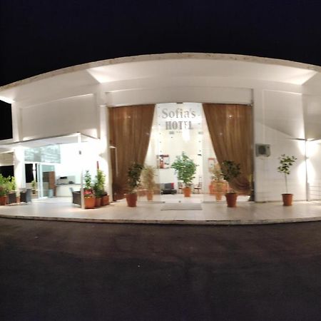 Sofias Hotel Ioánina Exterior foto